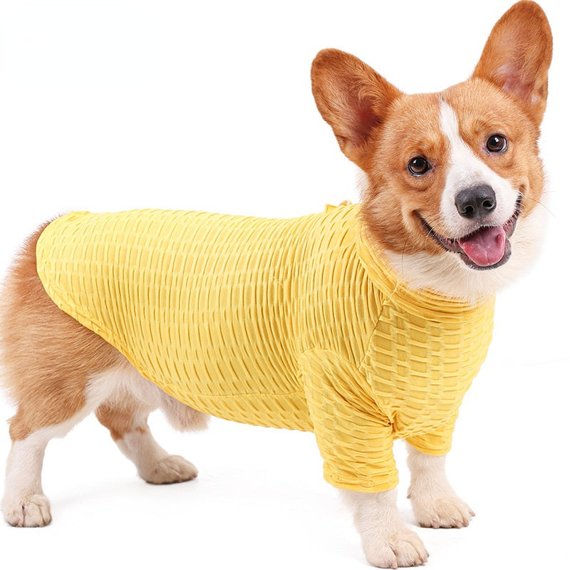 Corgi wearing bright yellow T-shirt, ideal for autumn and winter, ensuring comfort and style for pets.