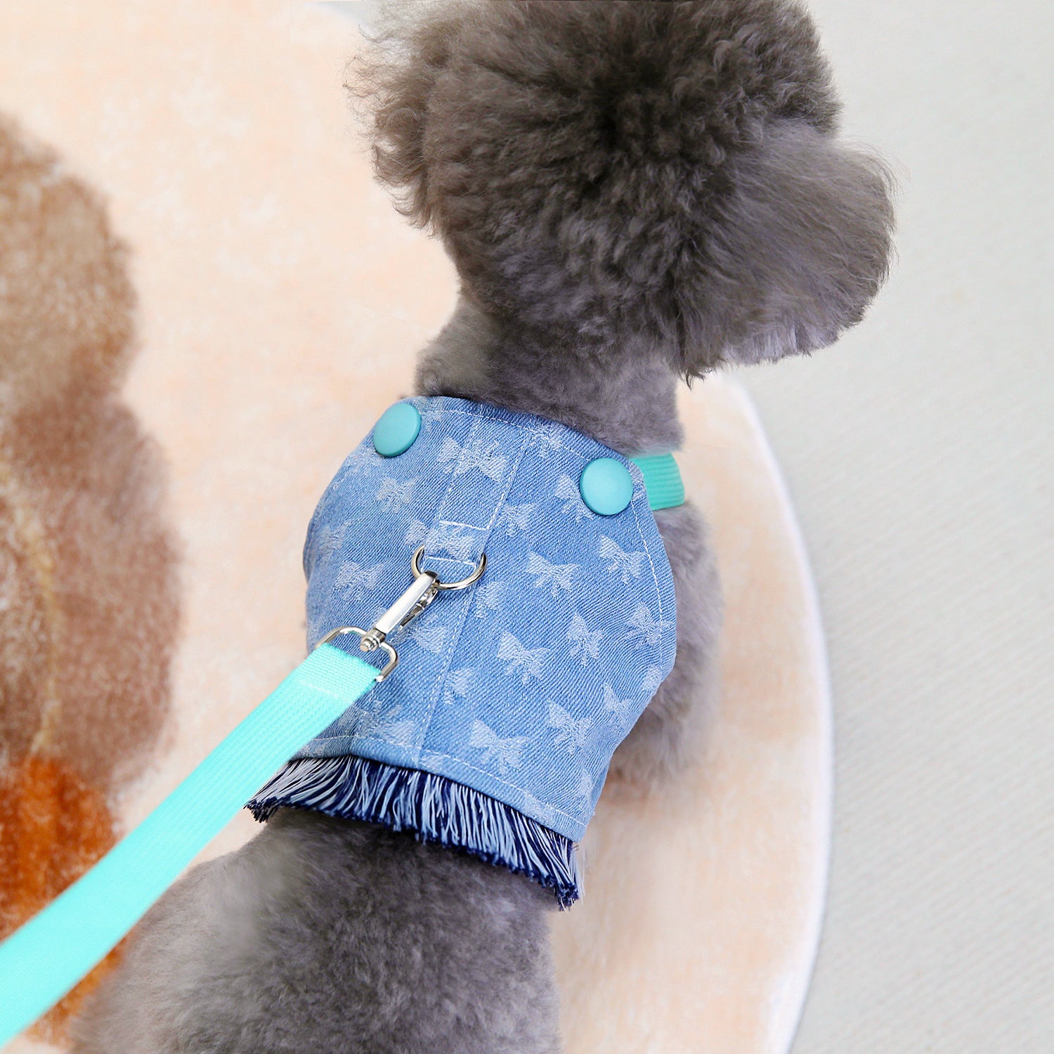 Vêtement en denim pour chien avec harnais, coupe décontractée, couleur bleu clair, détaché avec laisse.