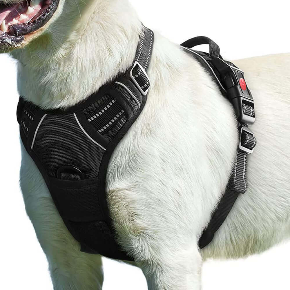Détail d'un harnais de traction noir pour chien, conçu pour le confort et la sécurité lors des promenades.