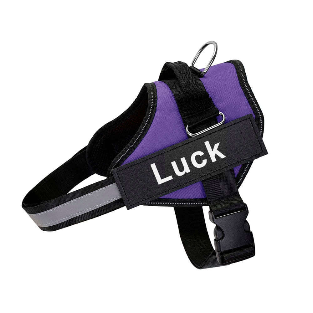Harnais pour chien violet avec sangle ajustable et boucle de sécurité, idéal pour le confort et la sécurité.