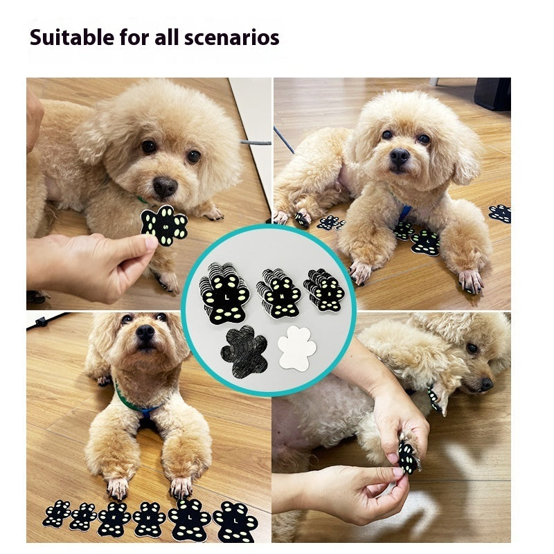 Chien de petite taille avec protections de pattes noires, montrant leur utilisation en différentes situations.