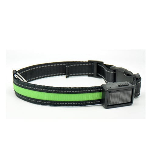 Collier de chien fluorescent noir et vert avec recharge solaire pour sécurité nocturne.